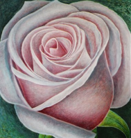 Big Rose by Ruth Addinall